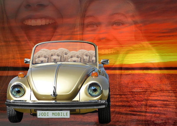 Meg Rees PhotoMontage