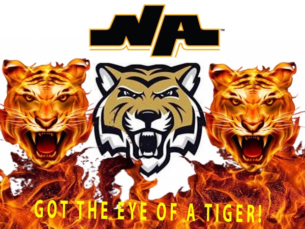 got an eye of a tiger