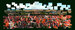 Broken Panorama